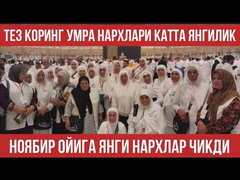 Видео: УМРА НАРХЛАРИ ЧИҚДИ ТЕЗ КОРИНГ КАТТА ЯНГИЛИКЛАР БОР | N.7 “Hikmat Umra Travel”