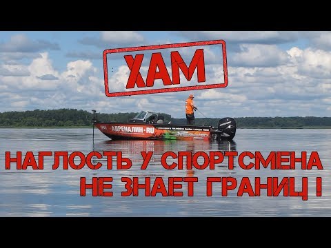 Видео: Трофей на джиг! Поймал все что можно - судак, щука, окунь, жерех! Уловистая приманка!!!