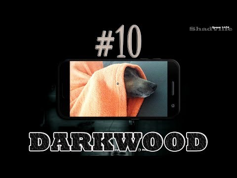 Видео: Darkwood Прохождение игры #10: Охота на крупных собак