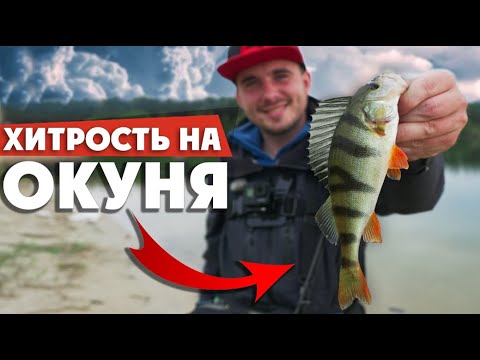 Видео: ЛОВЛЯ ОКУНЯ на СПИННИНГ! Как ЛОВИТЬ окуня в ТРАВЕ? Рыбалка 2020!