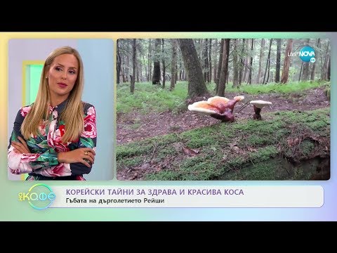 Видео: Влогърът Галя Симеонова: корейски тайни за здрава и красива коса - „На кафе” (22.05.2020)