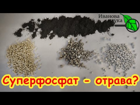 Видео: СТОЙТЕ! НЕ ВНОСИТЕ СУПЕРФОСФАТ, пока не узнаете этот секрет! Подделки и опасности СУПЕРФОСФАТА.