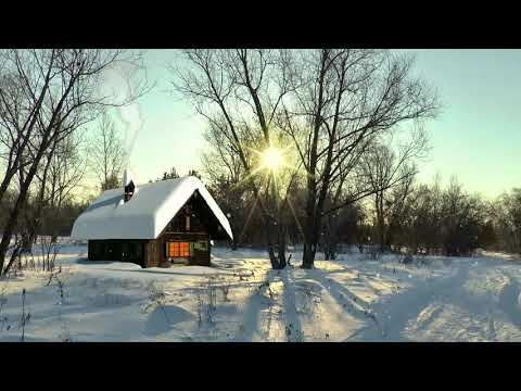 Видео: Звук падающего снега на опушке, в зимнем лесу. The sound of falling snow at the edge of the winter f