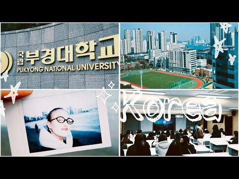 Видео: заселение в общежитие корейского университета | #жизньвкорее #корея #пусан #учебавкорее #pukyong