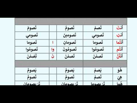 Видео: Арабский язык с носителем - 27 (4) - Отрицательные частицы أدَواتُ النَّفـي - لَم - لا - لَن