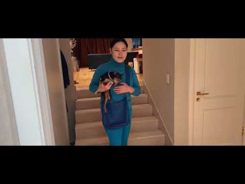 Видео: Чухал аялал