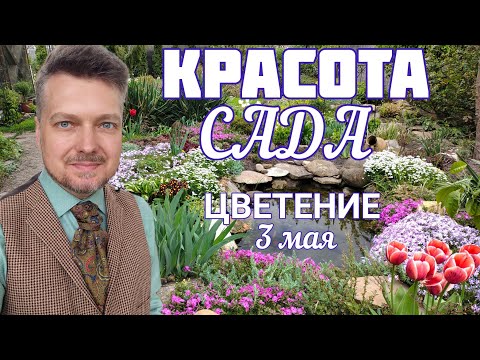 Видео: Всё ЦВЕТЁТ и ПАХНЕТ 💐 ПРОГУЛКА по САДУ 💐 3 мая + полезные советы и рекомендации 👍
