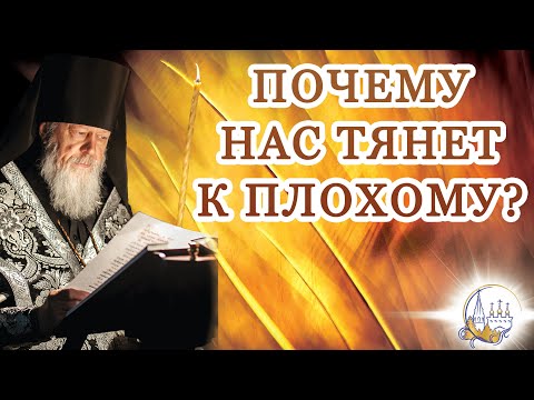 Видео: Почему нас тянет к плохому?