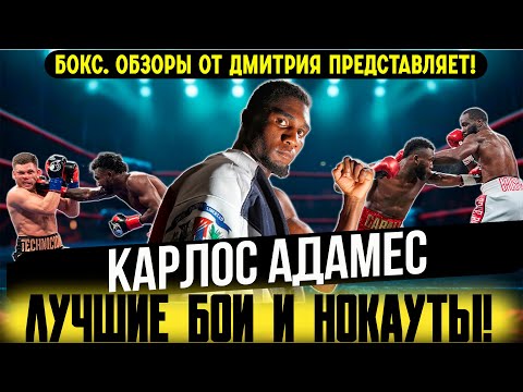 Видео: ЧЕМПИОН, КОТОРОГО НИКТО НЕ ЗНАЕТ - Карлос Адамес