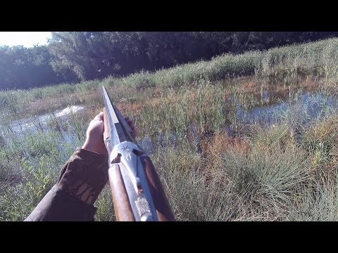 Видео: Отличная охота на утку с лайкой 2018. Полювання на качку з ИЖ-27ЕМ-1с. Great duck hunt 2018