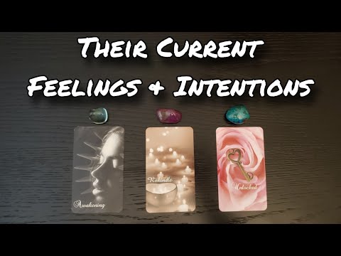 Видео: 💞🕯 Их текущие чувства и намерения по отношению к вам! 💗💞 Выберите карту для любовного гадания