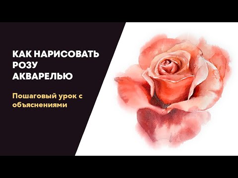 Видео: Как нарисовать розу акварелью // How to draw a rose with watercolors