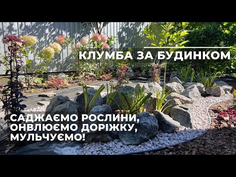 Видео: Клумба за будинком. Саджаємо рослини, онвлюємо доріжку, мульчуємо