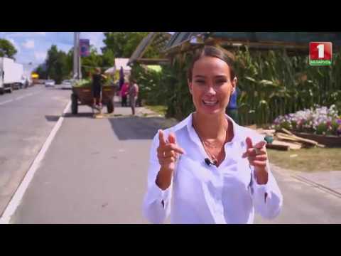 Видео: Мотоль. Маршрут построен 19.10.2019