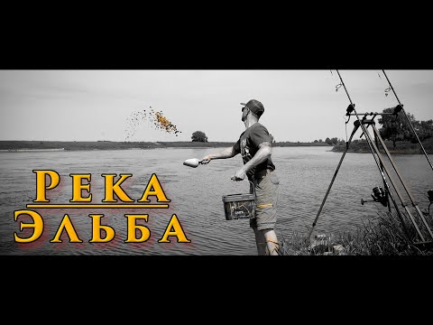 Видео: Карпфишинг Ловля Карпа на Реке | RIVER JOB | BEGINNING