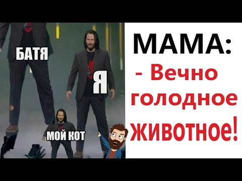 Видео: Приколы! 😱 КТО ИЗ НАС ГОЛОДНОЕ ЖИВОТНОЕ! Смешные видео   Доми шоу!