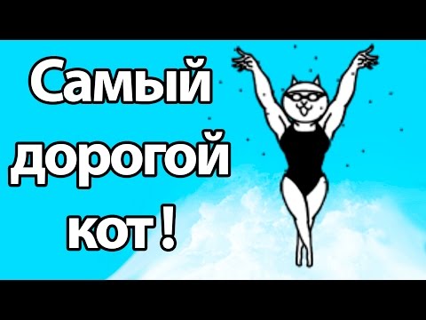 Видео: Самый дорогой кот ! ( Battle Cats )