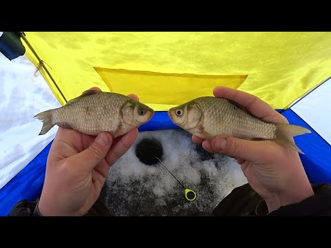 Видео: ЛОВЛЯ КАРАСЯ ЗИМОЙ!!!! Активный КЛЁВ КАРАСЯ на удочку!!! Зимняя РЫБАЛКА на КАРАСЯ.