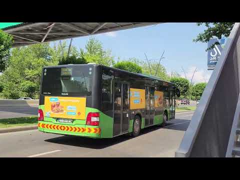 Видео: 18.07.2025 Tbilisi. поселение Верхняя Алексеевка