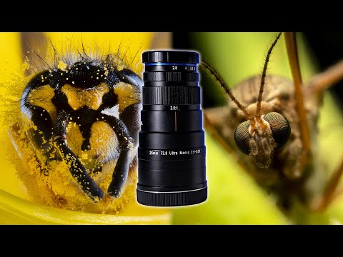 Видео: Обзор объектива Laowa 25mm F2.8 2.5-5X — УЛЬТРА МАКРО ФОТОГРАФИЯ!