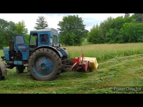 Видео: Т-40 і роторна косілка