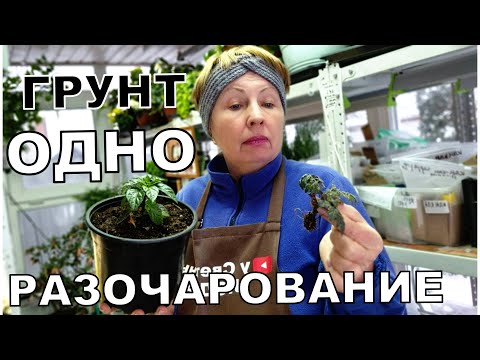 Видео: Видео-повтор. Грунт Агробалт очень разочаровал. Буду дальше пробовать