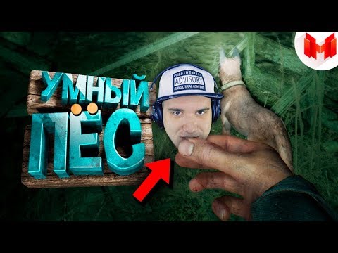 Видео: Мармок ► Blair Witch "Баги, Приколы, Фейлы" / Marmok | Реакция