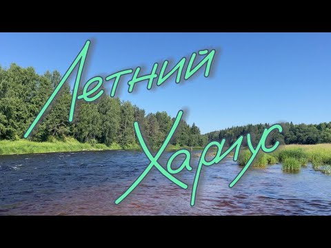 Видео: ГОЛАВЛЬ, Щука, ХАРИУС, Окунь летом на малой реке. ОТКУДА В ТАКОЙ МЕЛКОЙ РЕКЕ СТОЛЬКО РЫБЫ?!