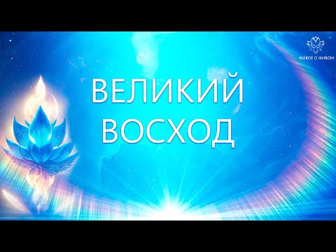 Видео: 11.11 Великий Восход.