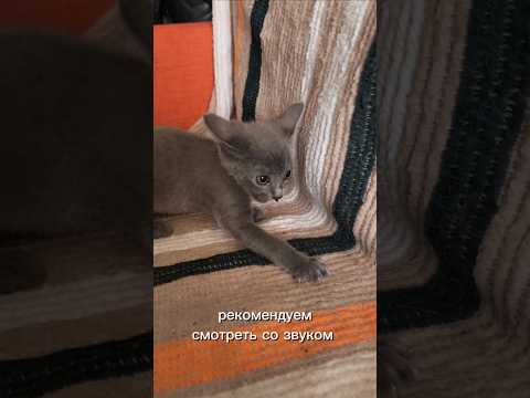 Видео: Почему мы решили продать наши тревел тачки?