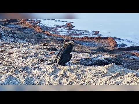 Видео: Секретная дорога на рыбалку??? Быт!!!