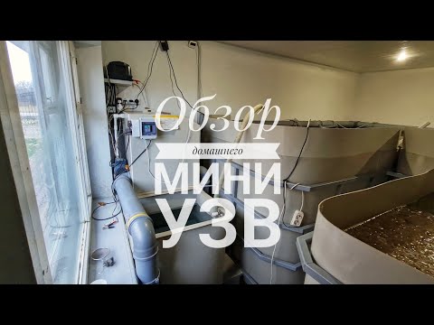 Видео: Обзор домашнего мини УЗВ