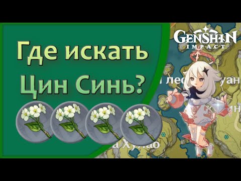 Видео: Genshin Impact | Где искать цветы Цин Синь?