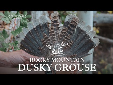 Видео: Скалистые горы, рябчик — Дикая возвышенность, сезон 3, серия 2