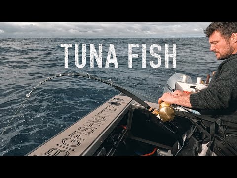 Видео: Ловля большого голубого тунца в Хокитикской впадине, Новая Зеландия. Джош Джеймс, Сэм, Тим и соле...