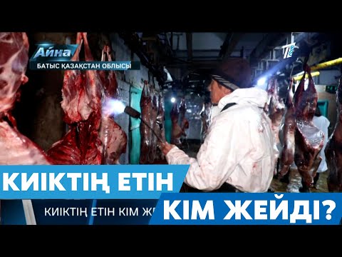 Видео: КИІКТІҢ ЕТІН КІМ ЖЕЙДІ?
