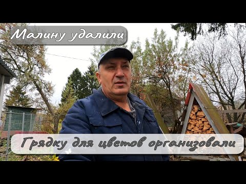Видео: Малину удалили  Грядку для цветов организовали