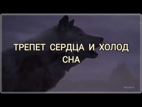 Видео: Виталий Цаплин - Одинокий волк (минус со словами)