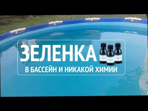 Видео: Зеленку в бассейне вместо химии. Не лучшее решение