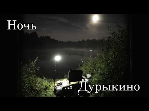 Видео: Дурыкино, рыбалка на фидер, Карп! Бешенный клев от прикормки Дунаев и кукурузы  ))