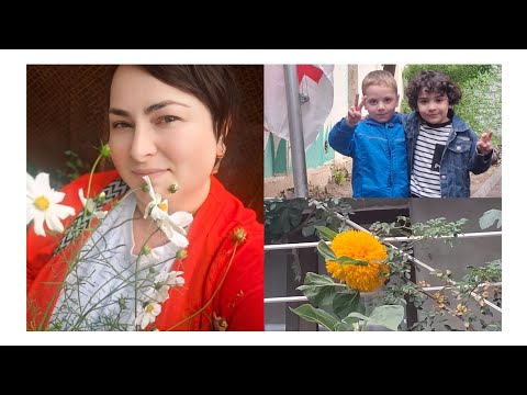 Видео: Грузия влог.Семейный влог.Обычный  мой день .Суета домашнная .
