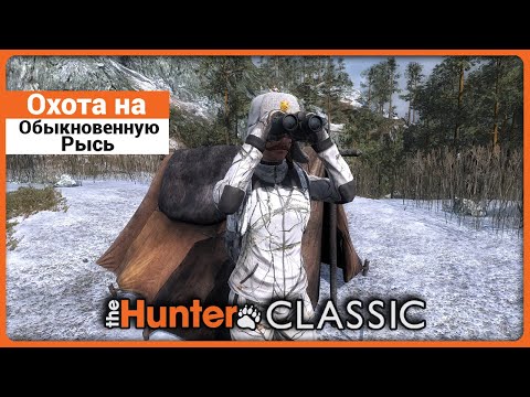 Видео: Охота на Обыкновенную Рысь в theHunter Classic !