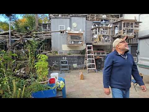 Видео: Бродяга № 10 после возвращения с аукциона Pigeon Supply