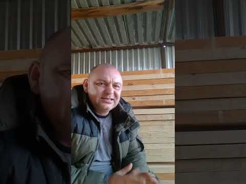 Видео: Бджоли Карніка