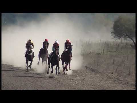 Видео: Белослав Конни Надбягвания 19.10.2019 (2)