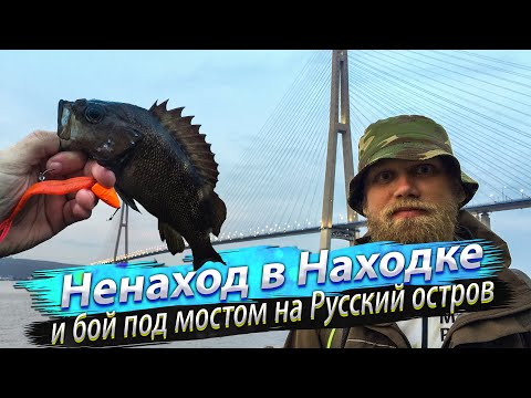 Видео: 🇷🇺 ЧУМОВОЙ Рокфишинг Владивосток. Вот это РЫБАЛКА под мостом на Русский остров. Японское море