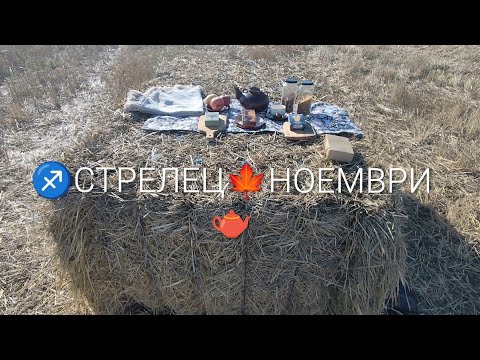 Видео: ♐зодия СТРЕЛЕЦ, месец НОЕМВРИ ,когато Таро срещне слънцето и сламата – магията няма нужда от сценари