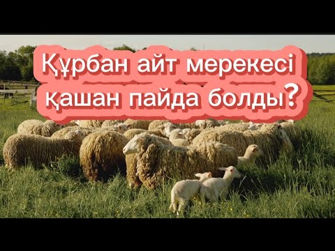 Видео: Құрбан айт мерекесі