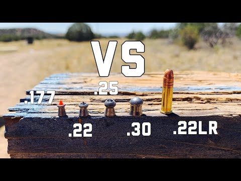 Видео: 22LR против пневматических винтовок калибра .177, .22, .25 и .30 | ТЕСТ МОЩНОСТИ 22LR против пнев...