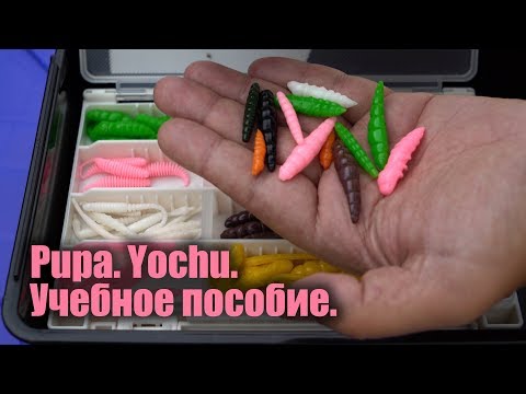 Видео: Ловля форели на силиконовые личинки FishUp Pupa, Yochu, Morio.